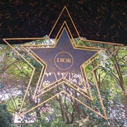 DIOR ESTRELLA